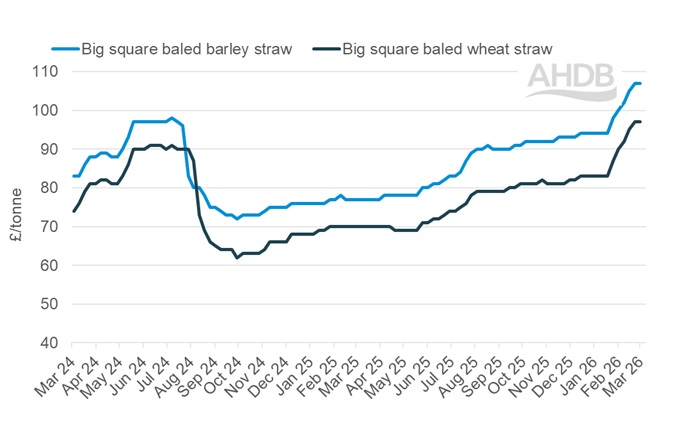 Line graph showing GB big bale straw weekly prices 1 March 2026.